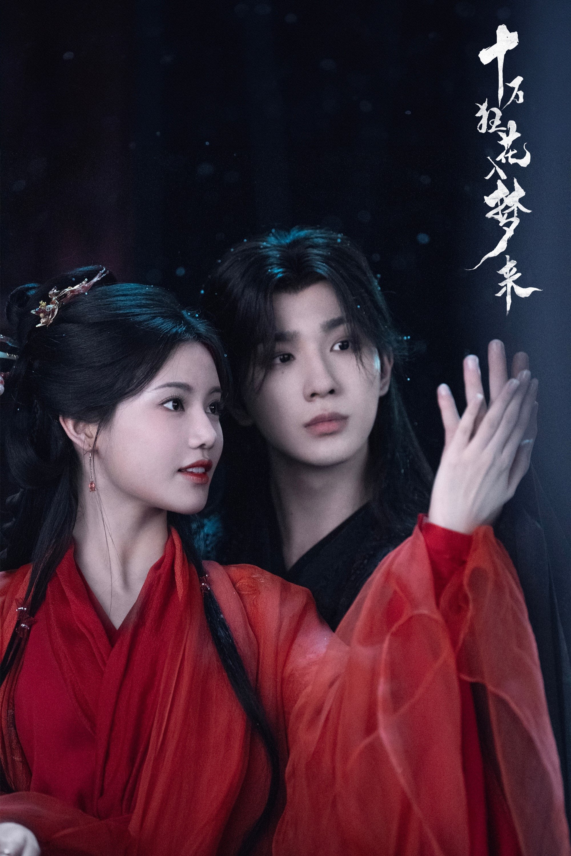 Blossom in Darkness poster