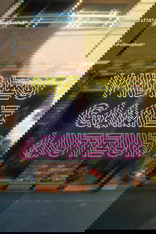 Video Game Auteur poster
