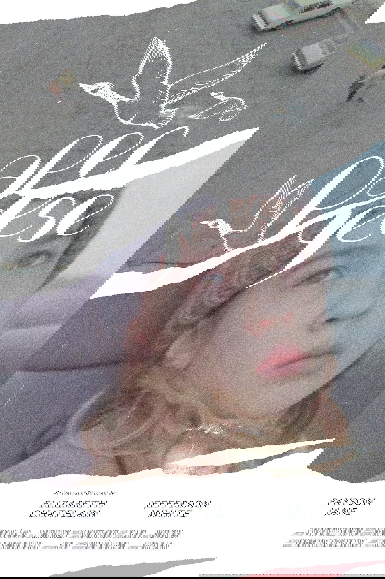 Paper Geese poster
