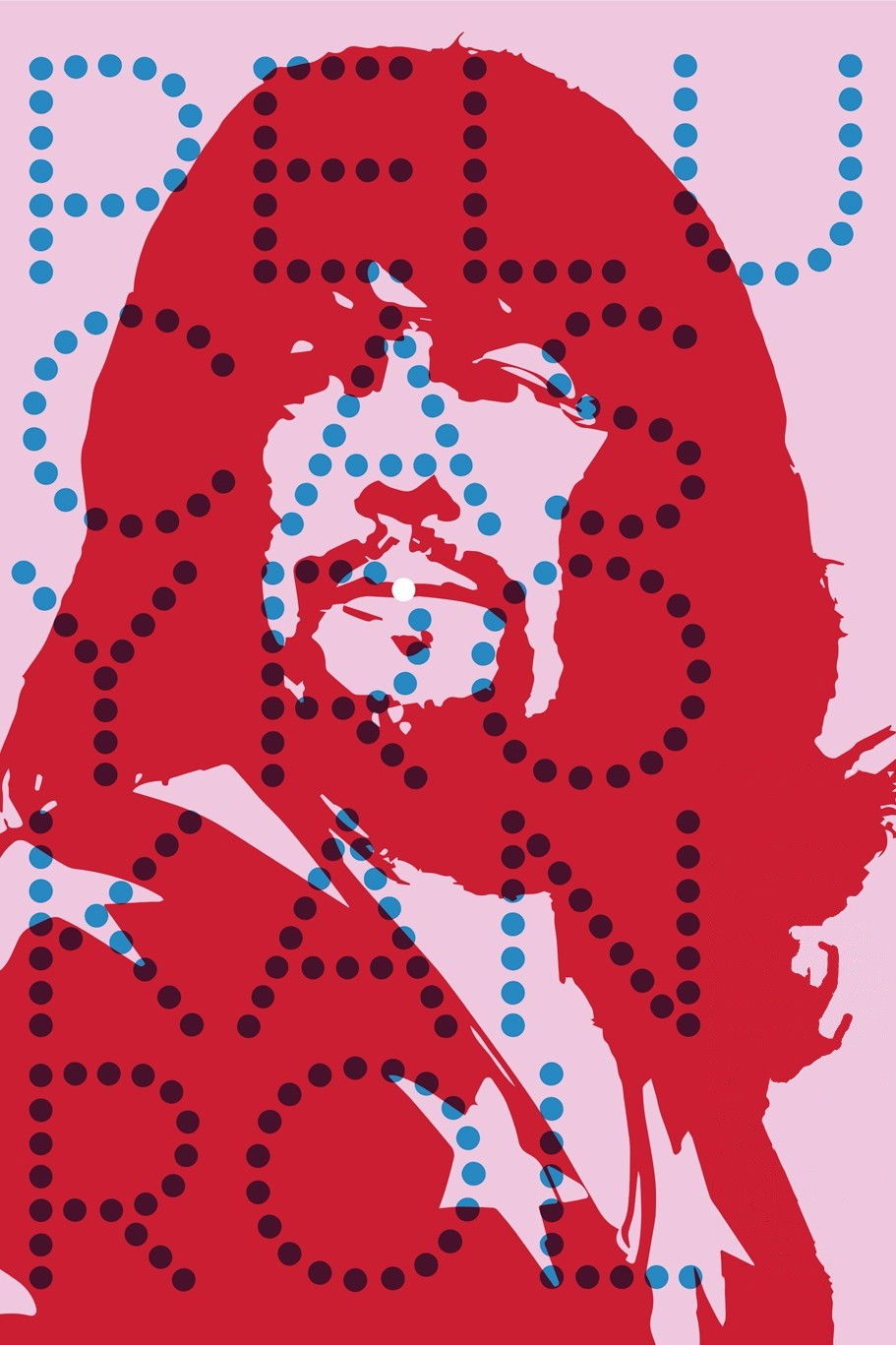 Pelucas y rokanrol poster