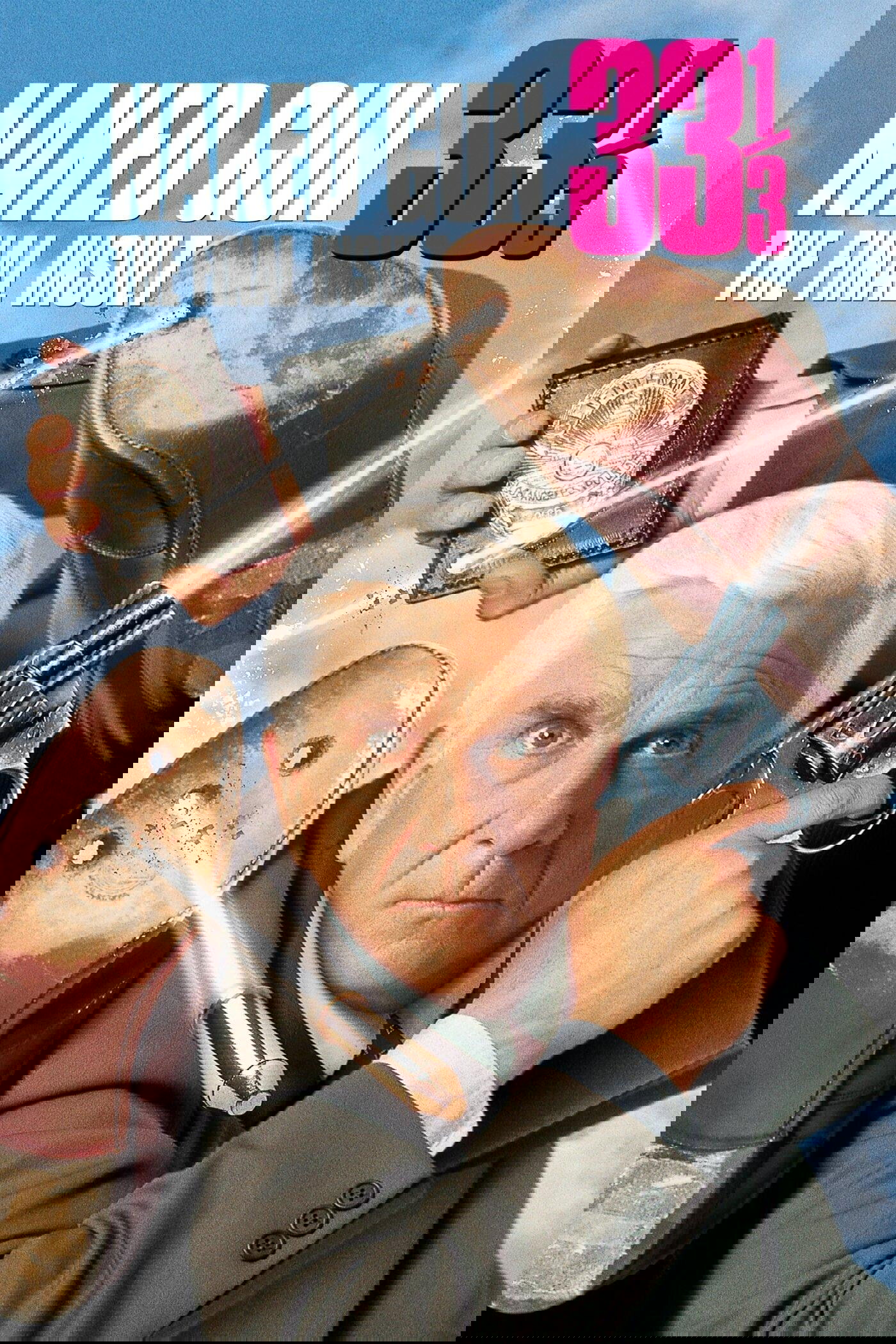 Naked Gun 33⅓: The Final Insult poster