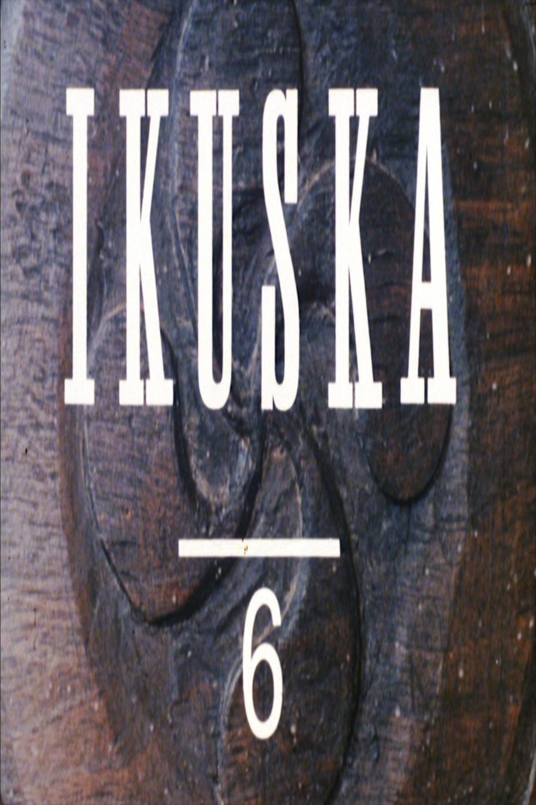 Ikuska 6: Euskara galdutako Nafarroa poster
