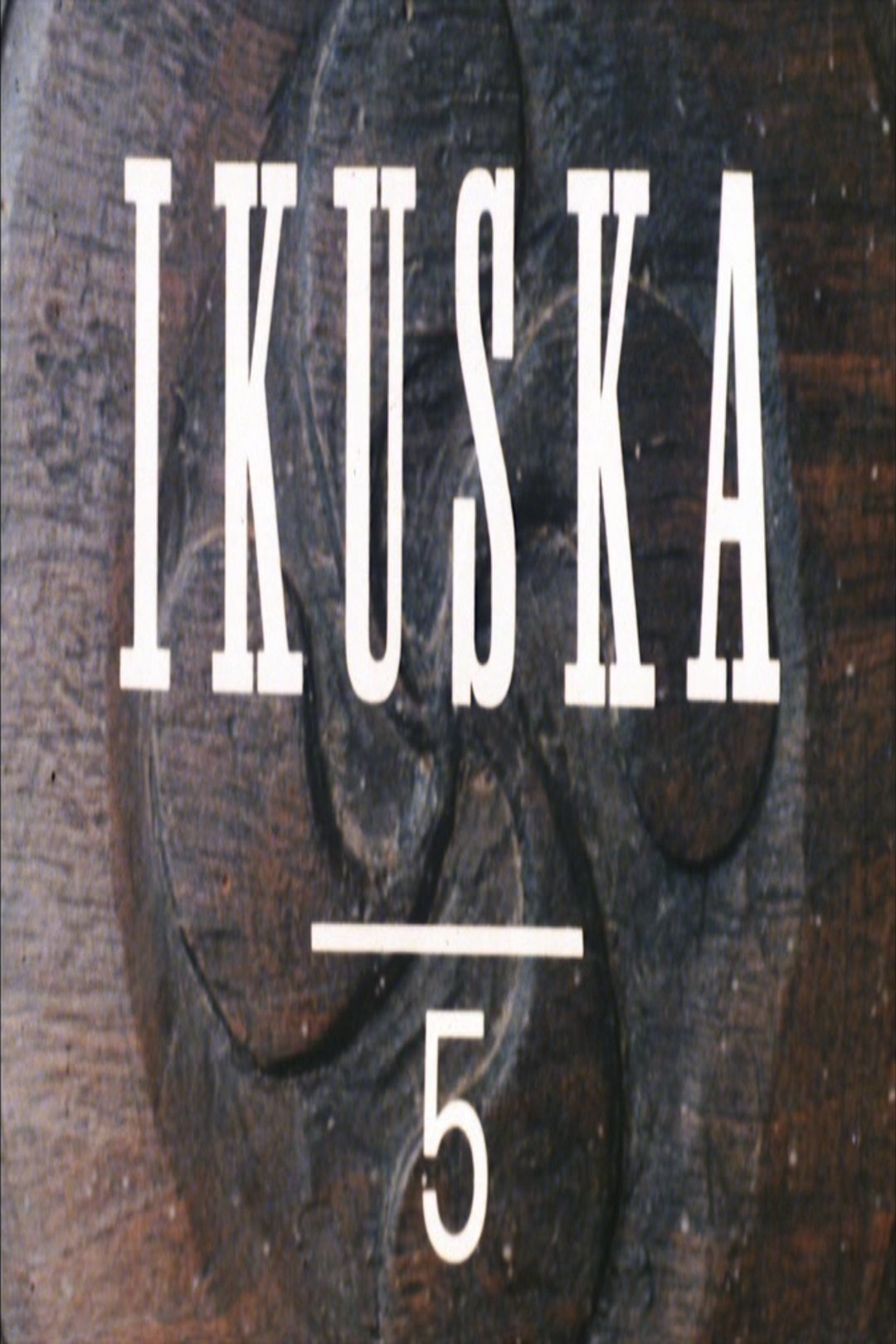Ikuska 5: Elebistasuna poster