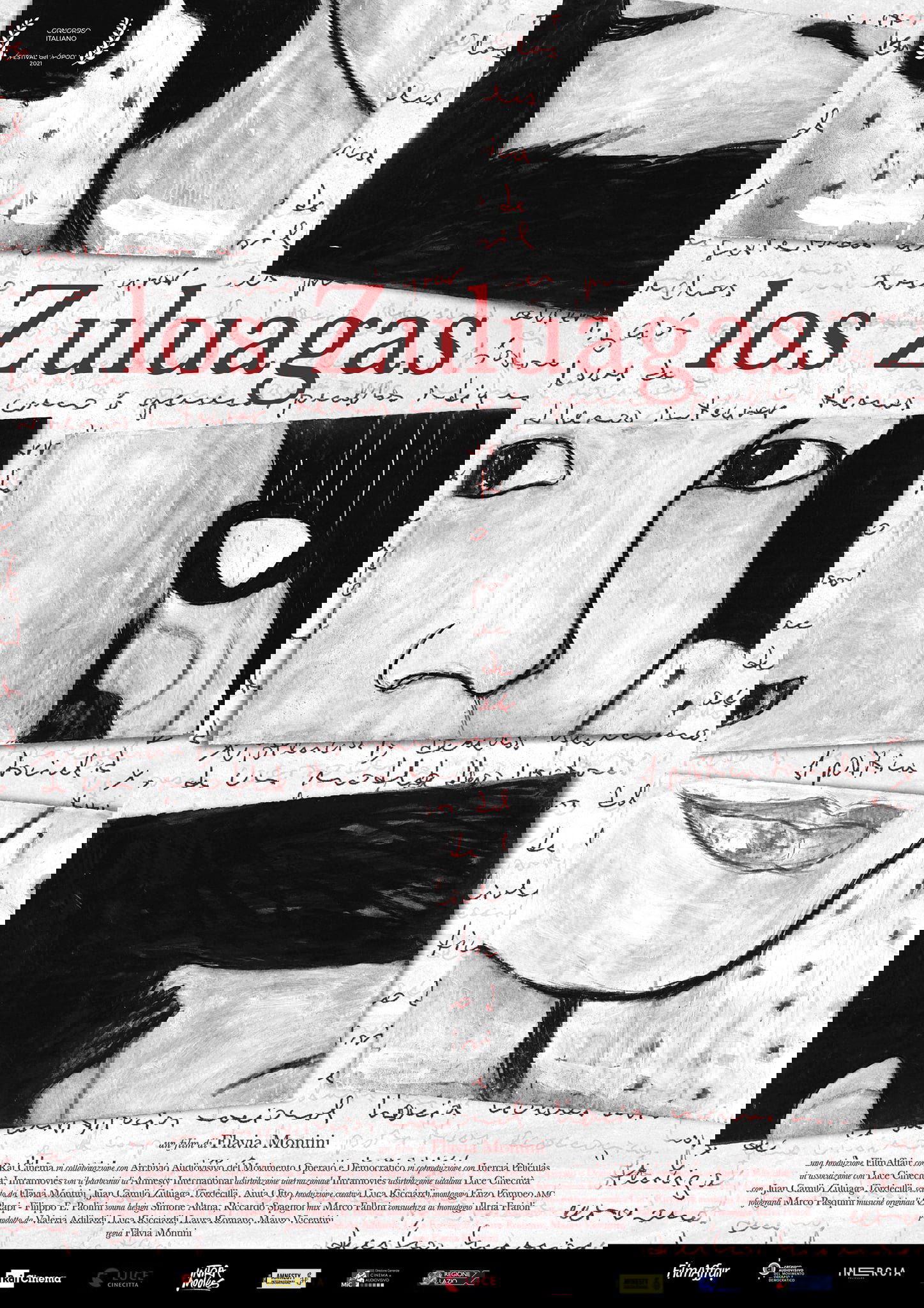 Los Zuluagas poster