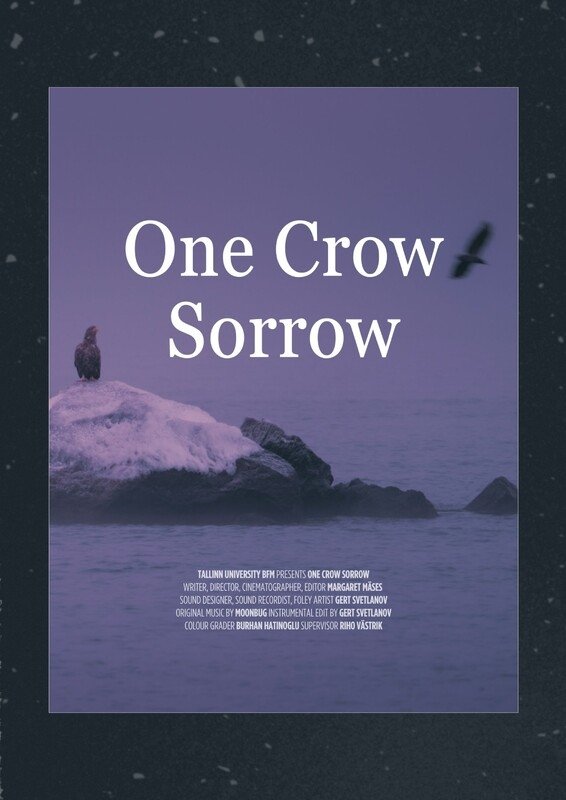 One Crow Sorrow poster