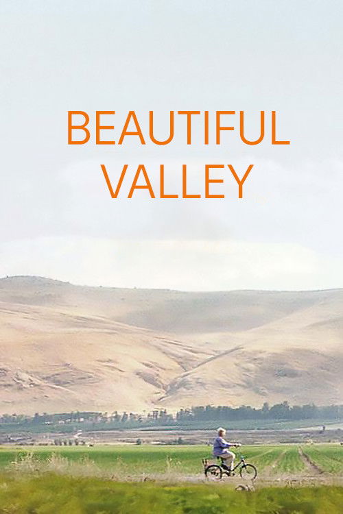 A Beautiful Valley poster
