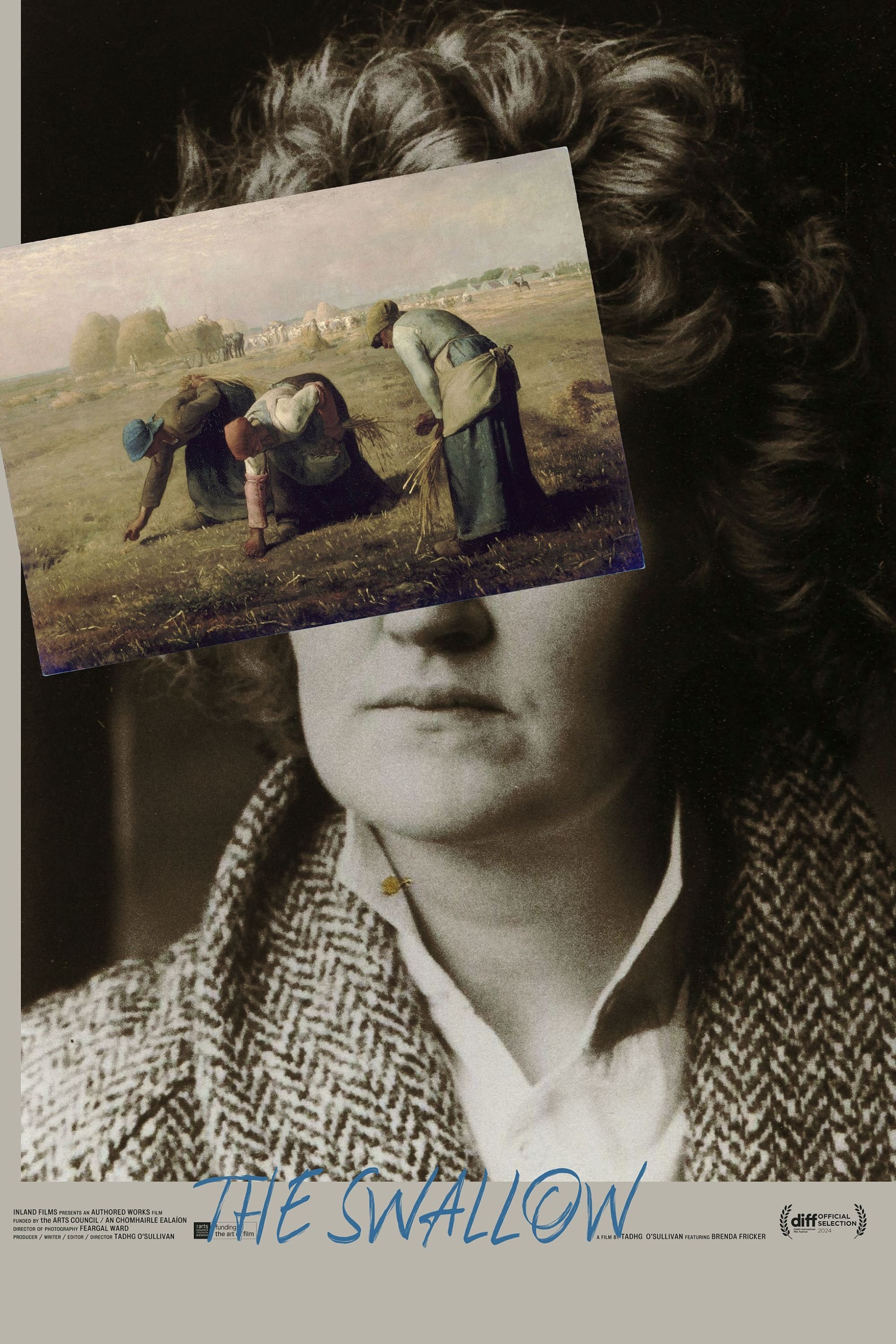 The Swallow poster