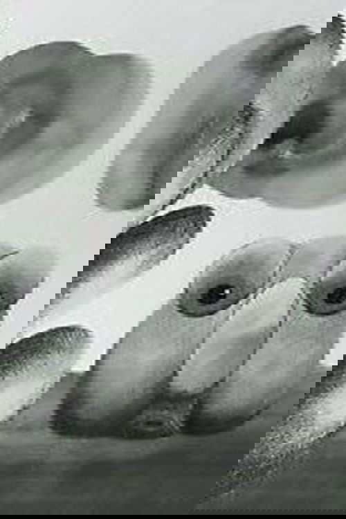 La tête poster