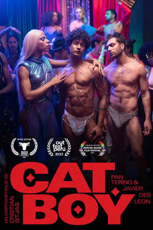 CatBoy poster