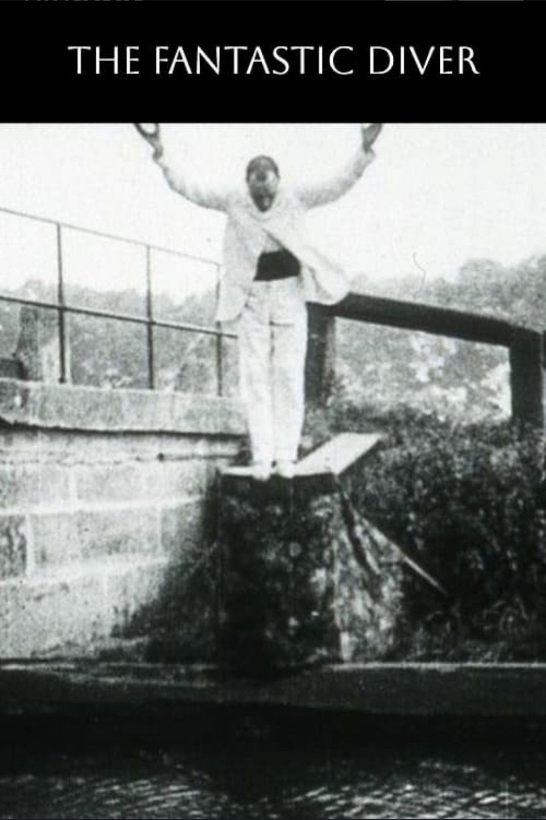 The Fantastic Diver poster