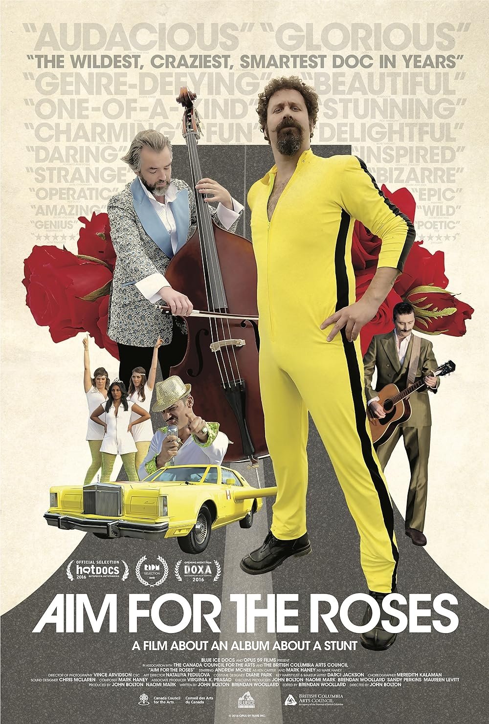 Aim for the Roses poster