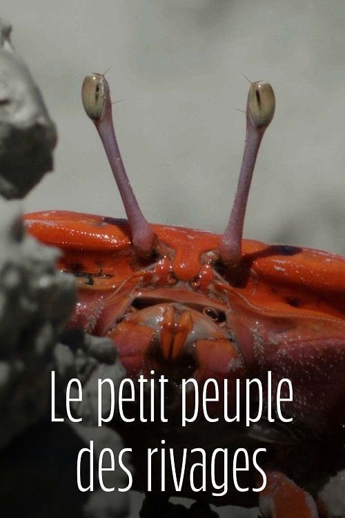 Le Petit Peuple des rivages poster