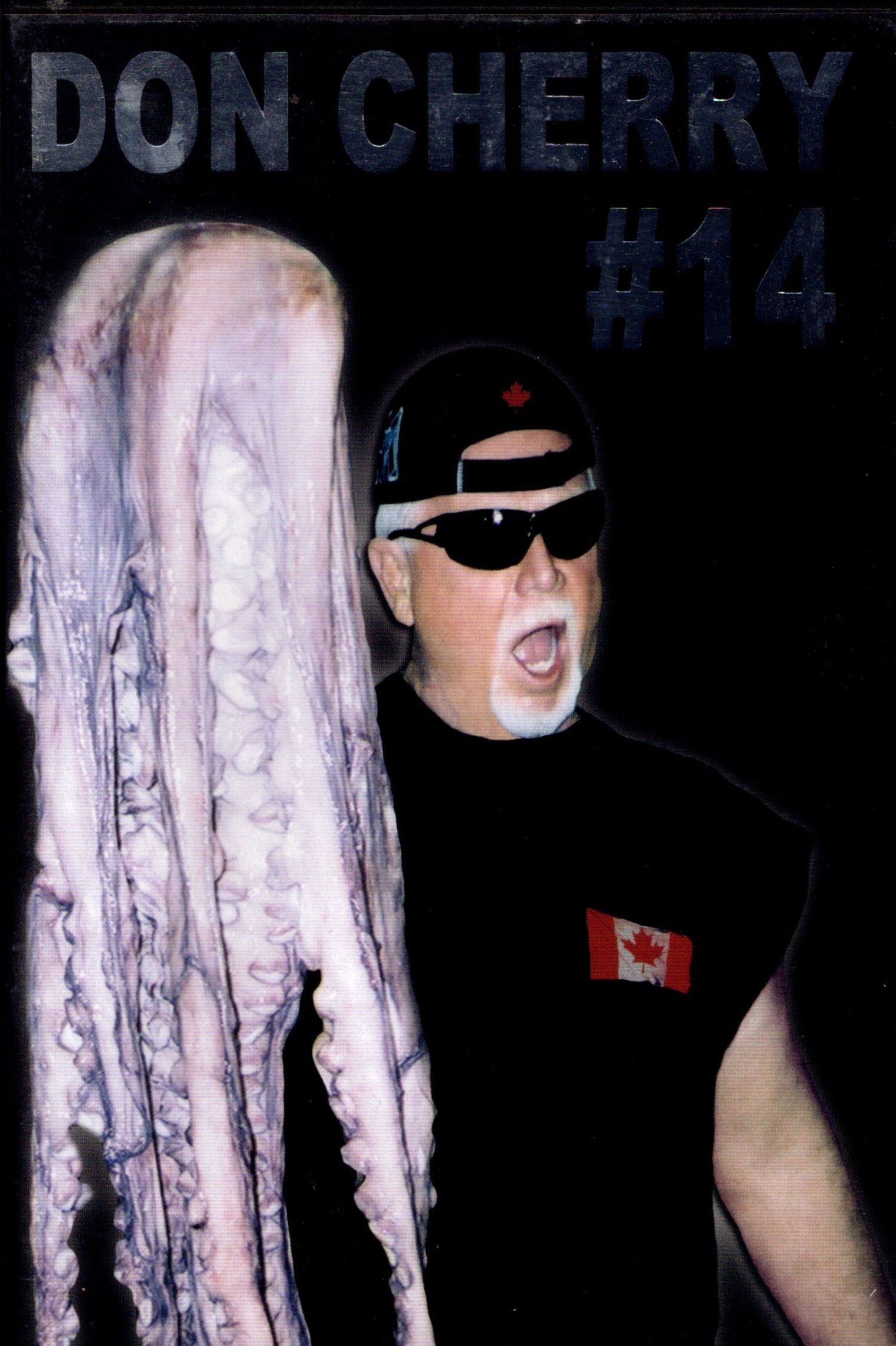 Don Cherry #14 poster