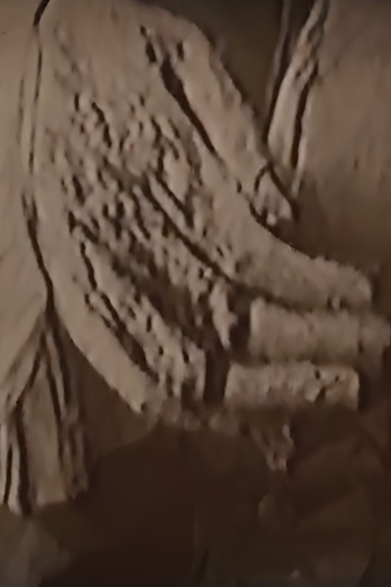 Silencio Dei Morti poster