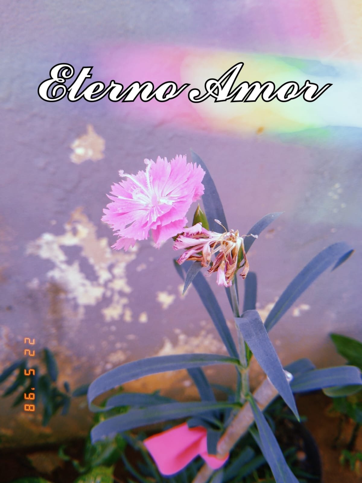 Eterno Amor ❤ poster