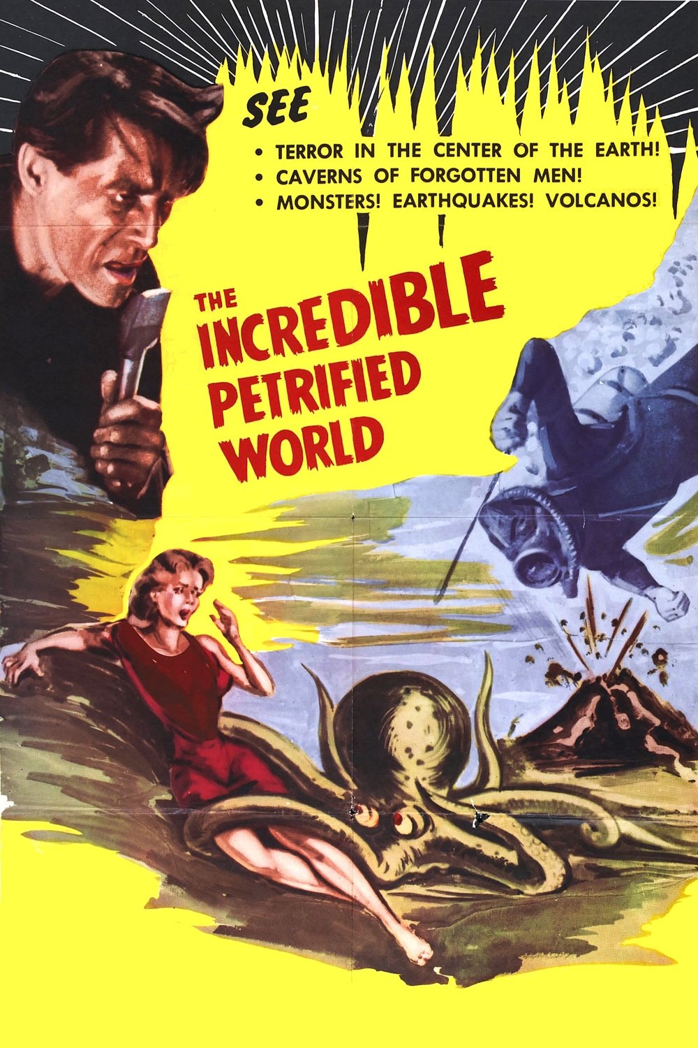 The Incredible Petrified World poster