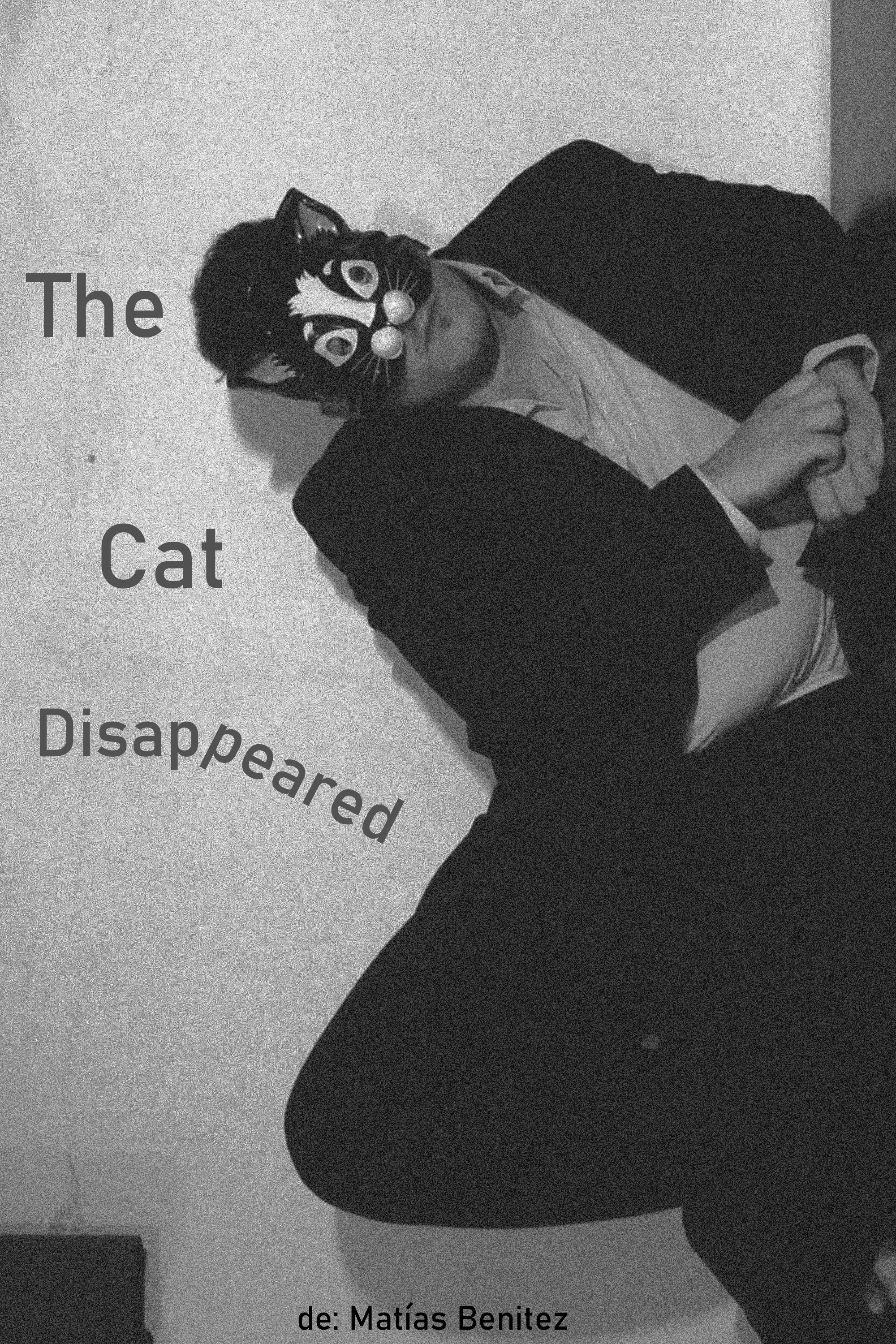The Cat Disappeared poster