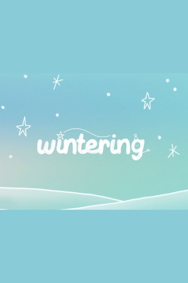 Wintering Vlog ☆ poster