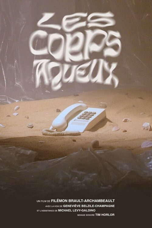 Les corps aqueux poster