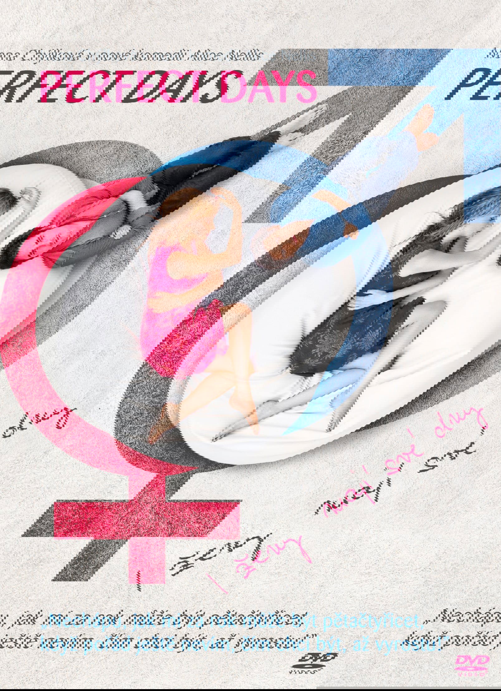 Perfect Days poster