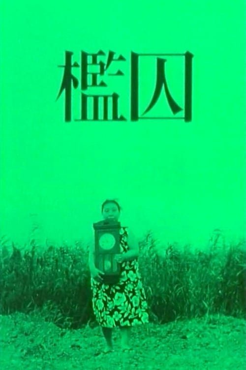The Cage poster