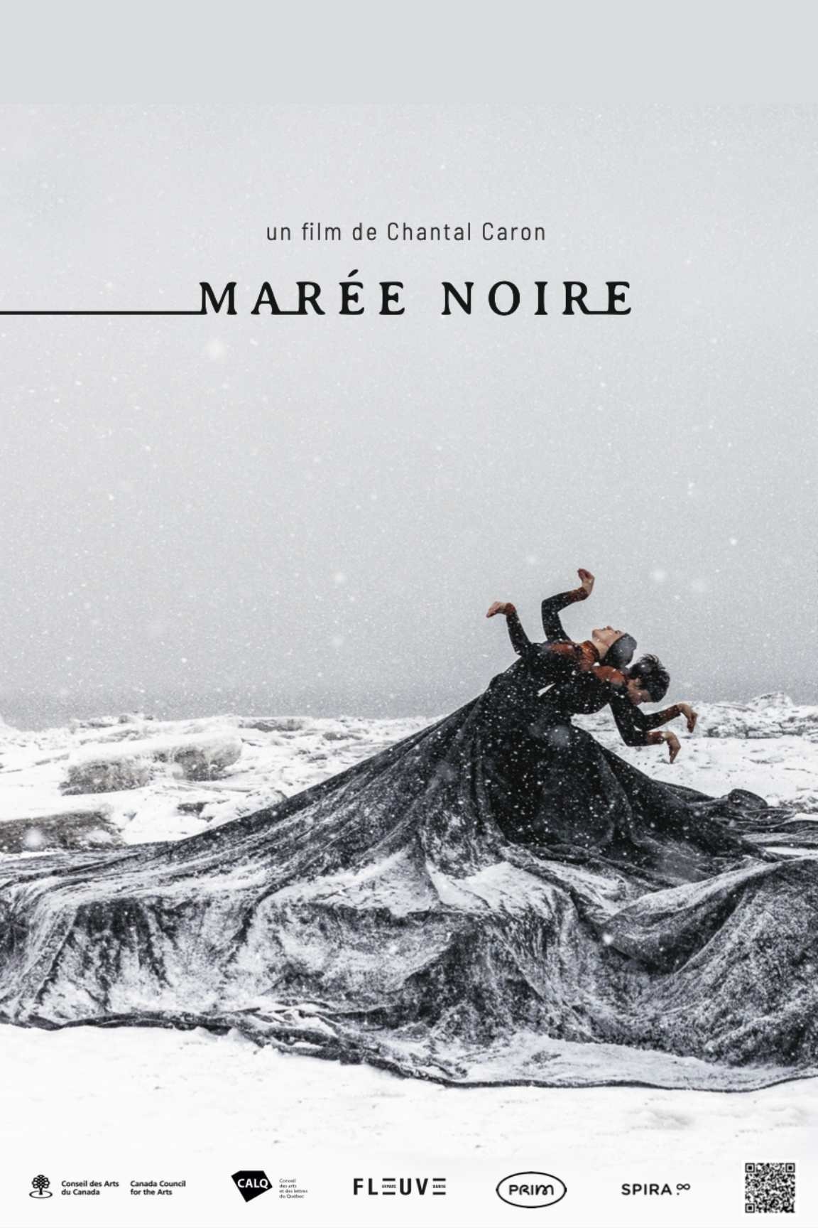 Somber Tides poster