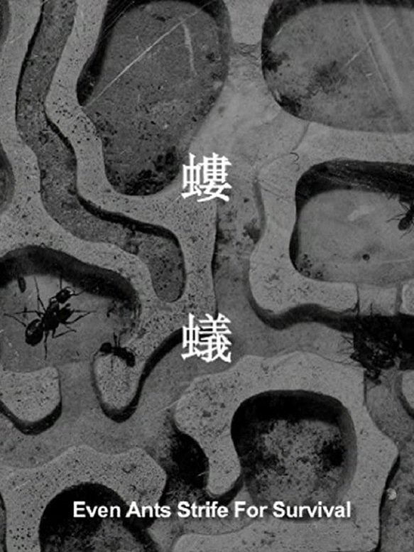 Even Ants Strive for Survival poster