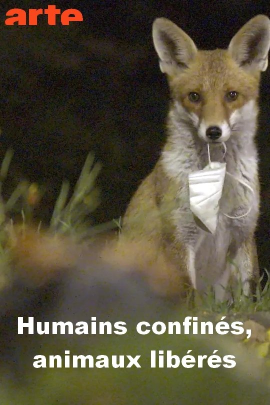 Menschen eingesperrt, Tiere befreit poster