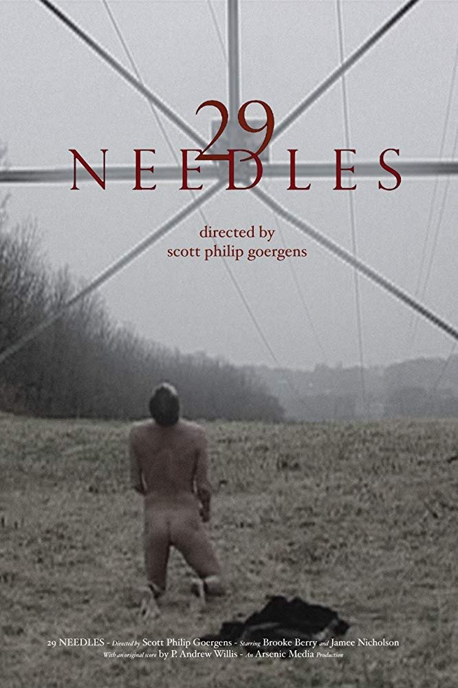 29 Needles poster