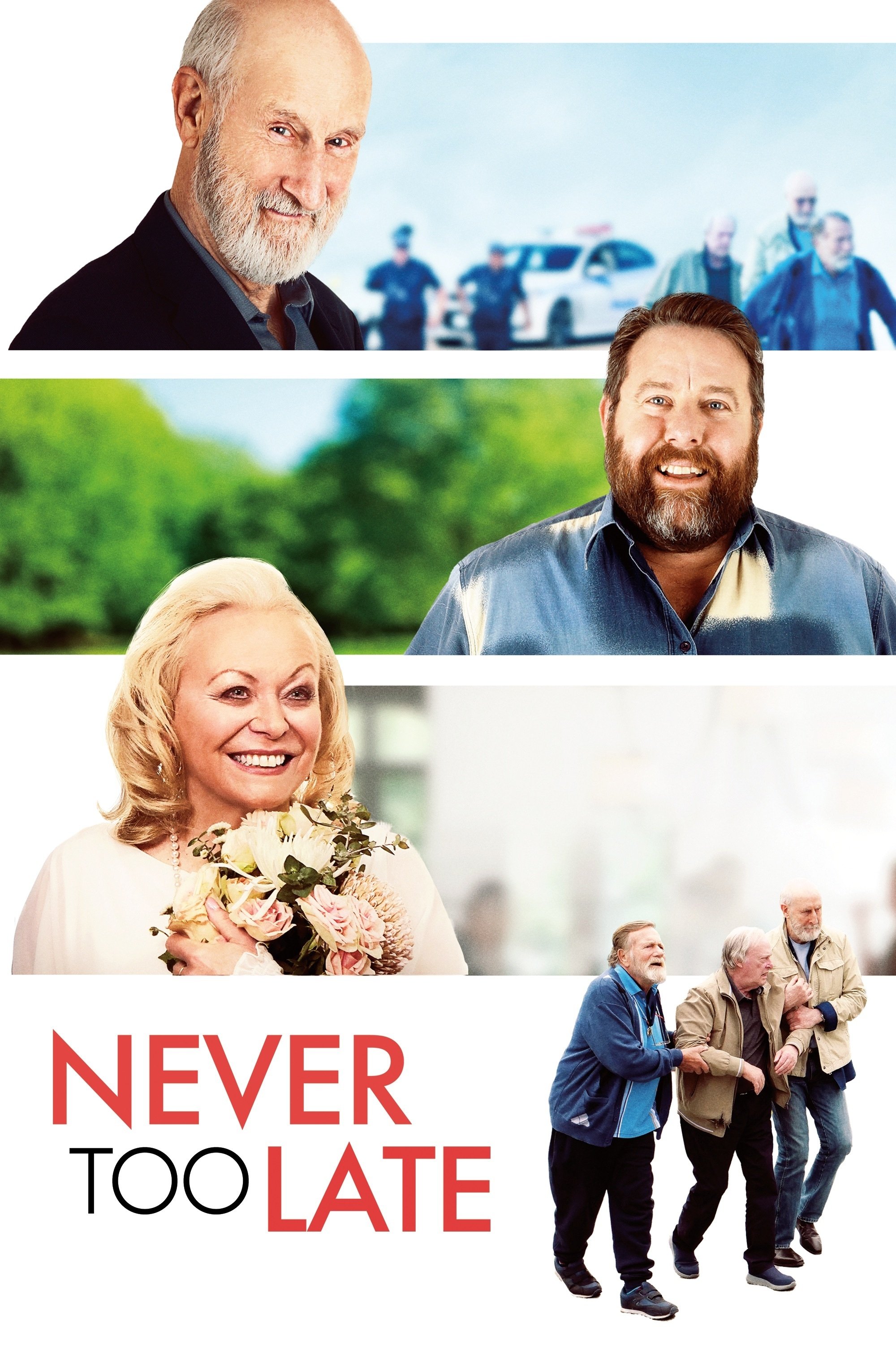 Never Too Late poster