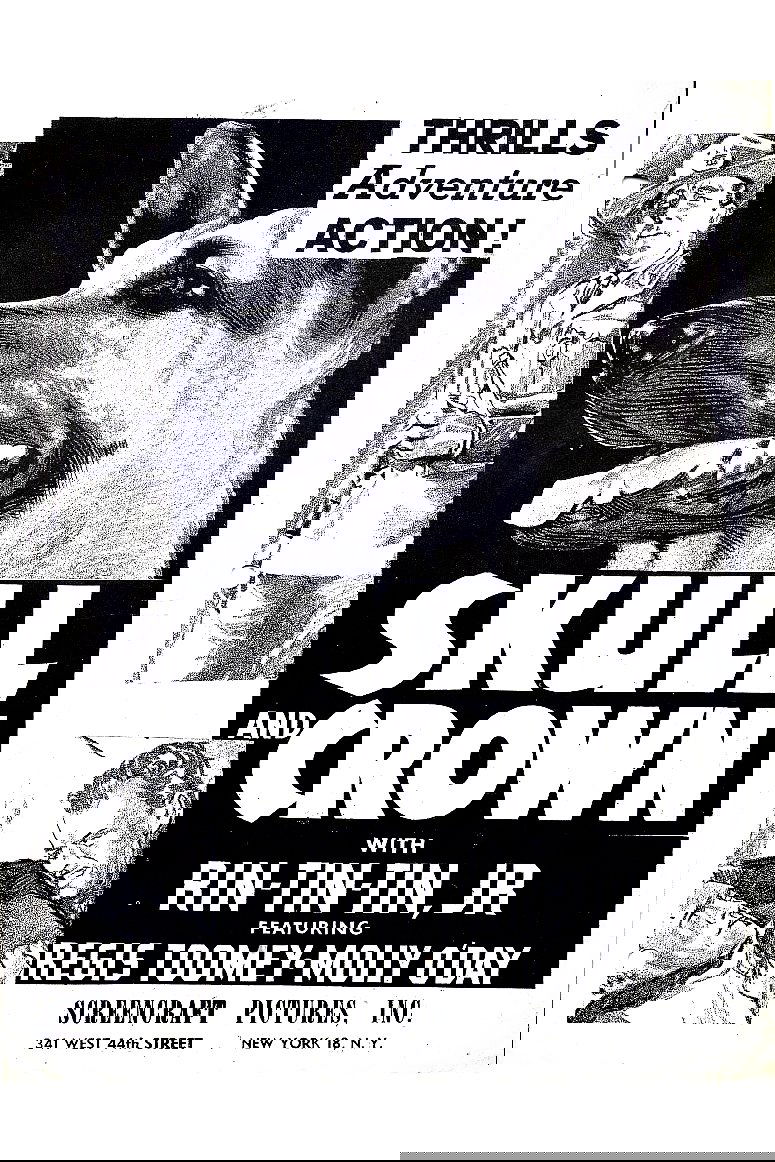 Skull and Crown poster
