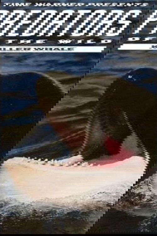 Predators of the Wild: Killer Whale poster