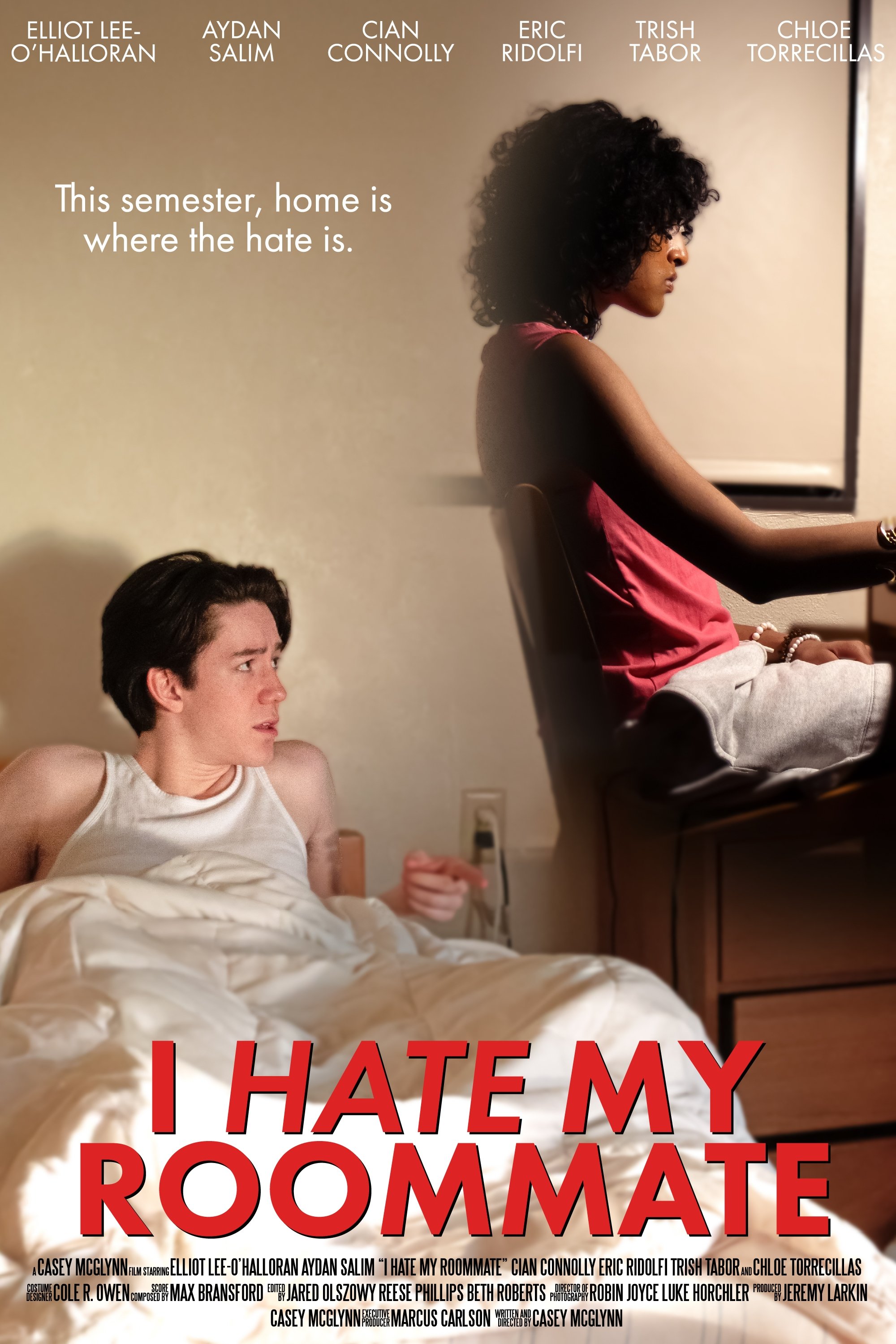 I Hate My Roommate poster