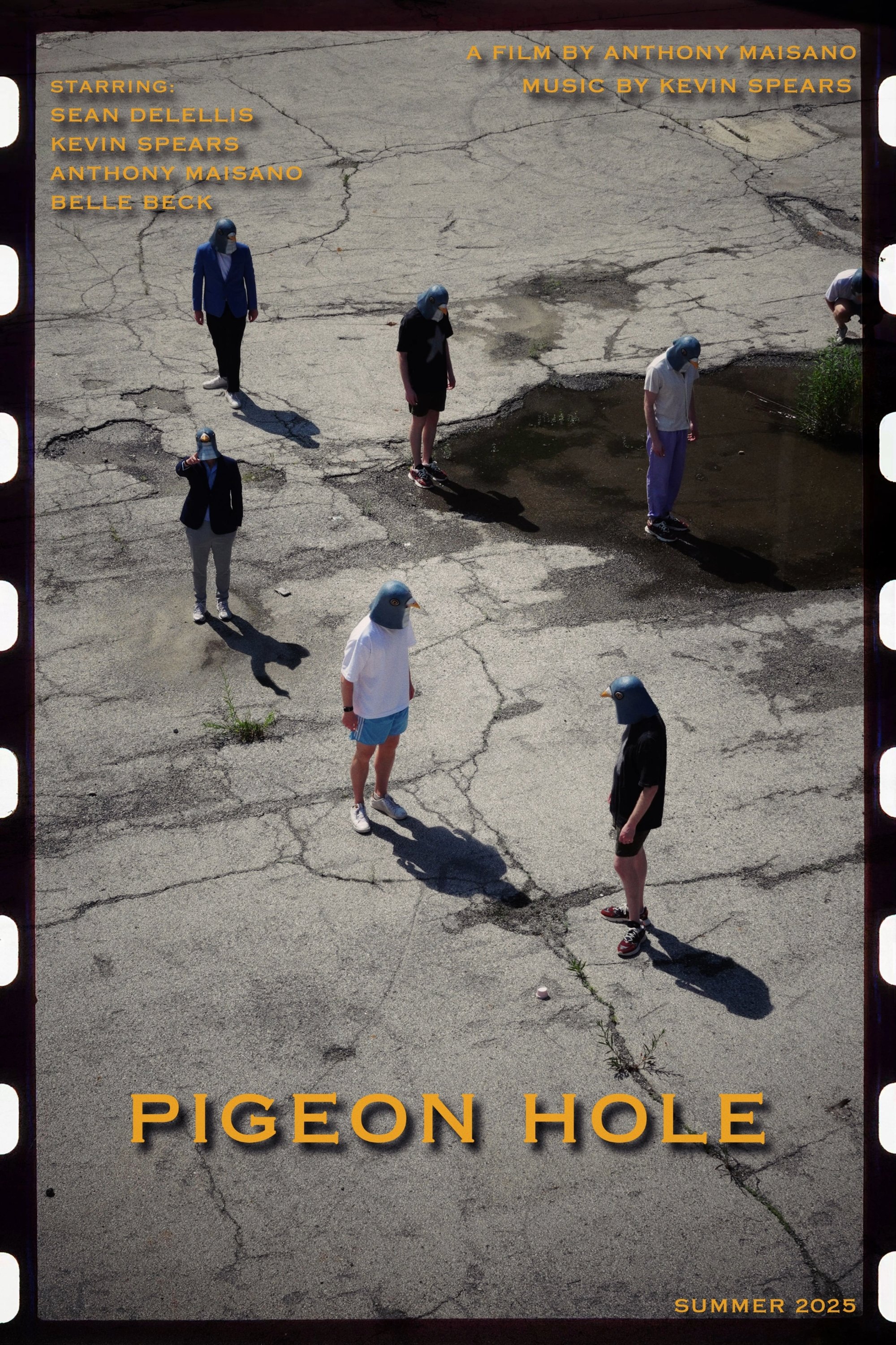 Pigeon Hole poster