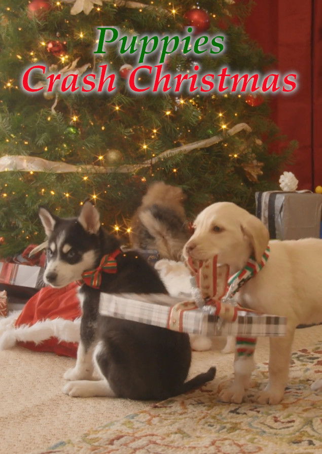Streaming Wonderland: Puppies Crash Christmas poster