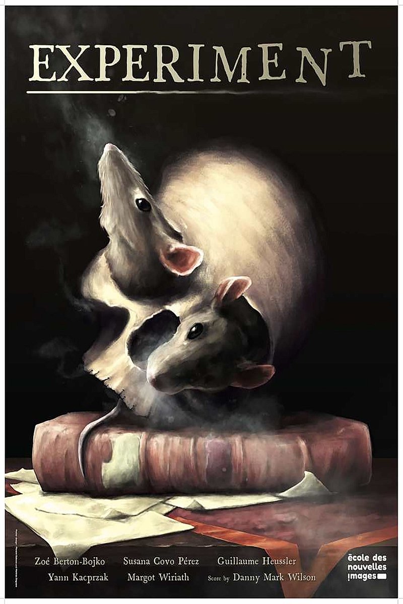 Experiment poster