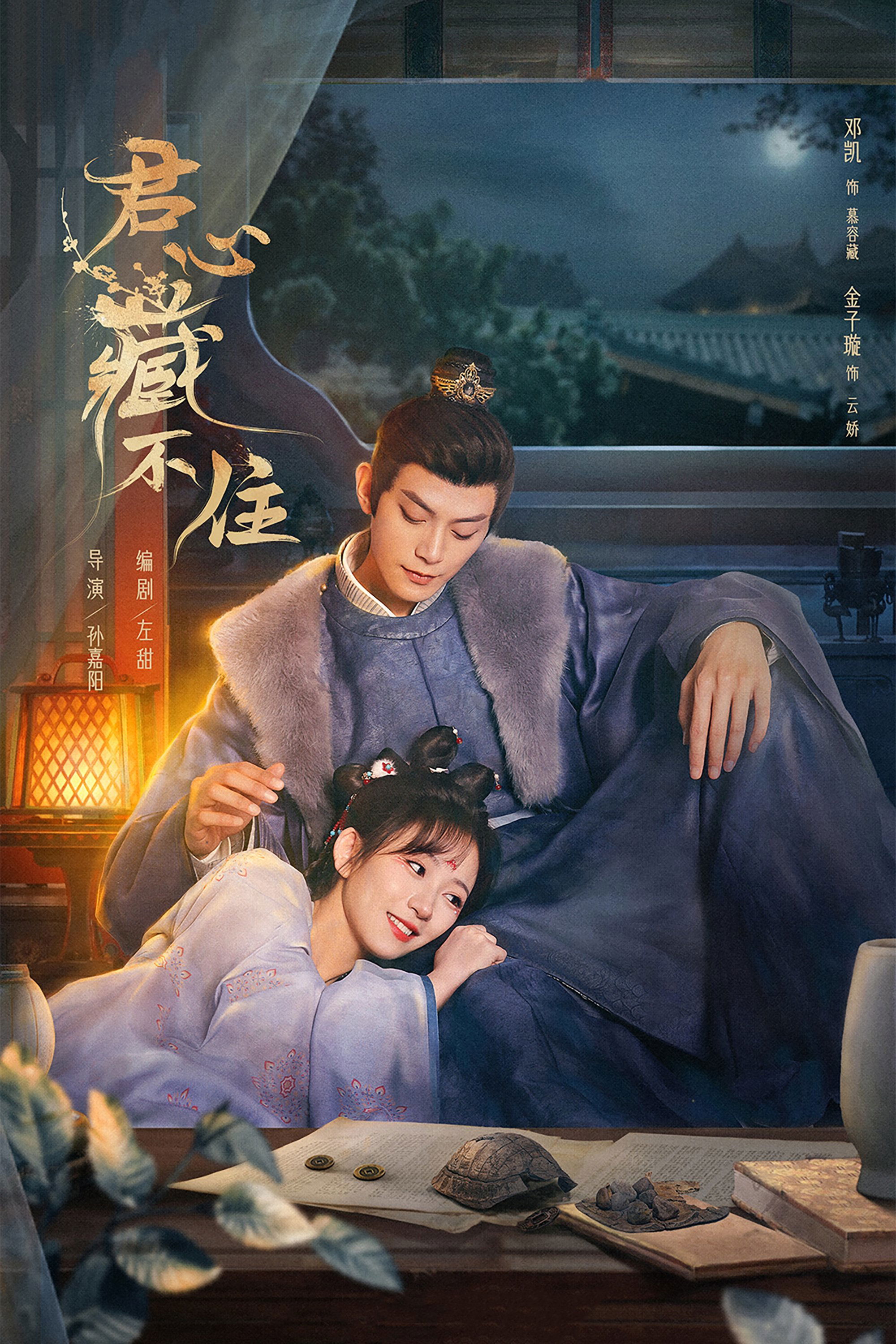Governor's Secret Love poster