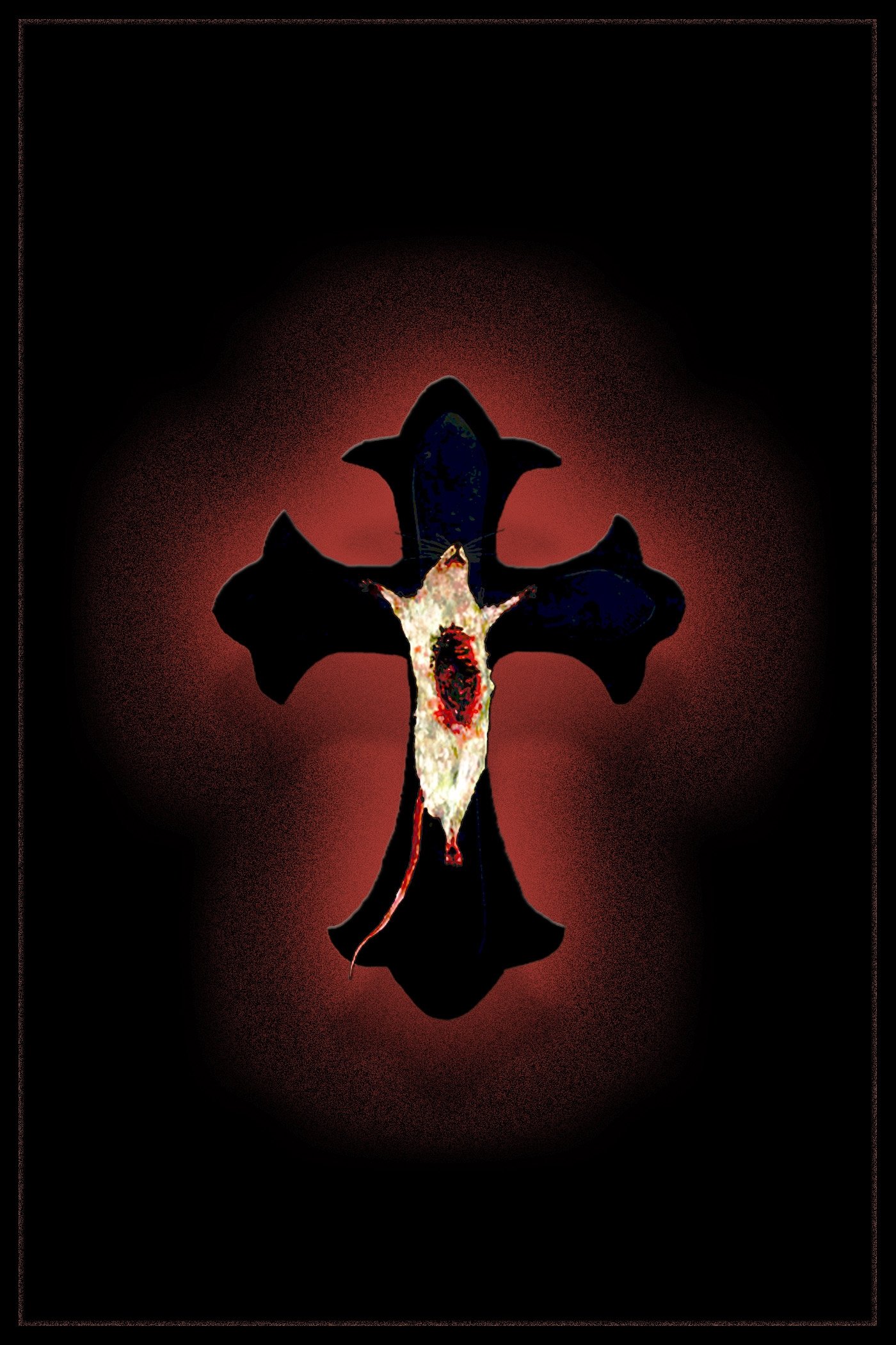 Fungi poster