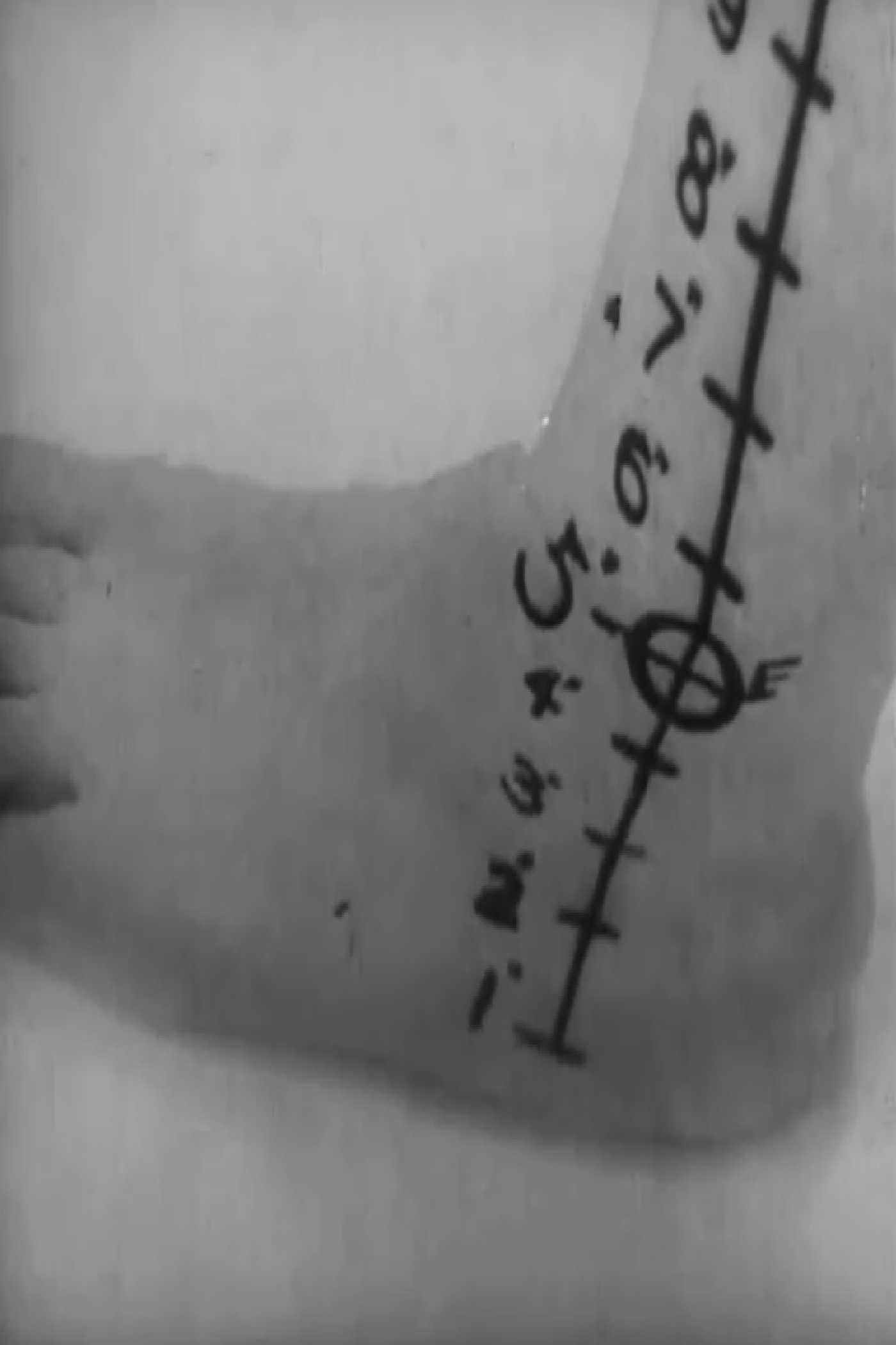 The Five-Inch Bather poster