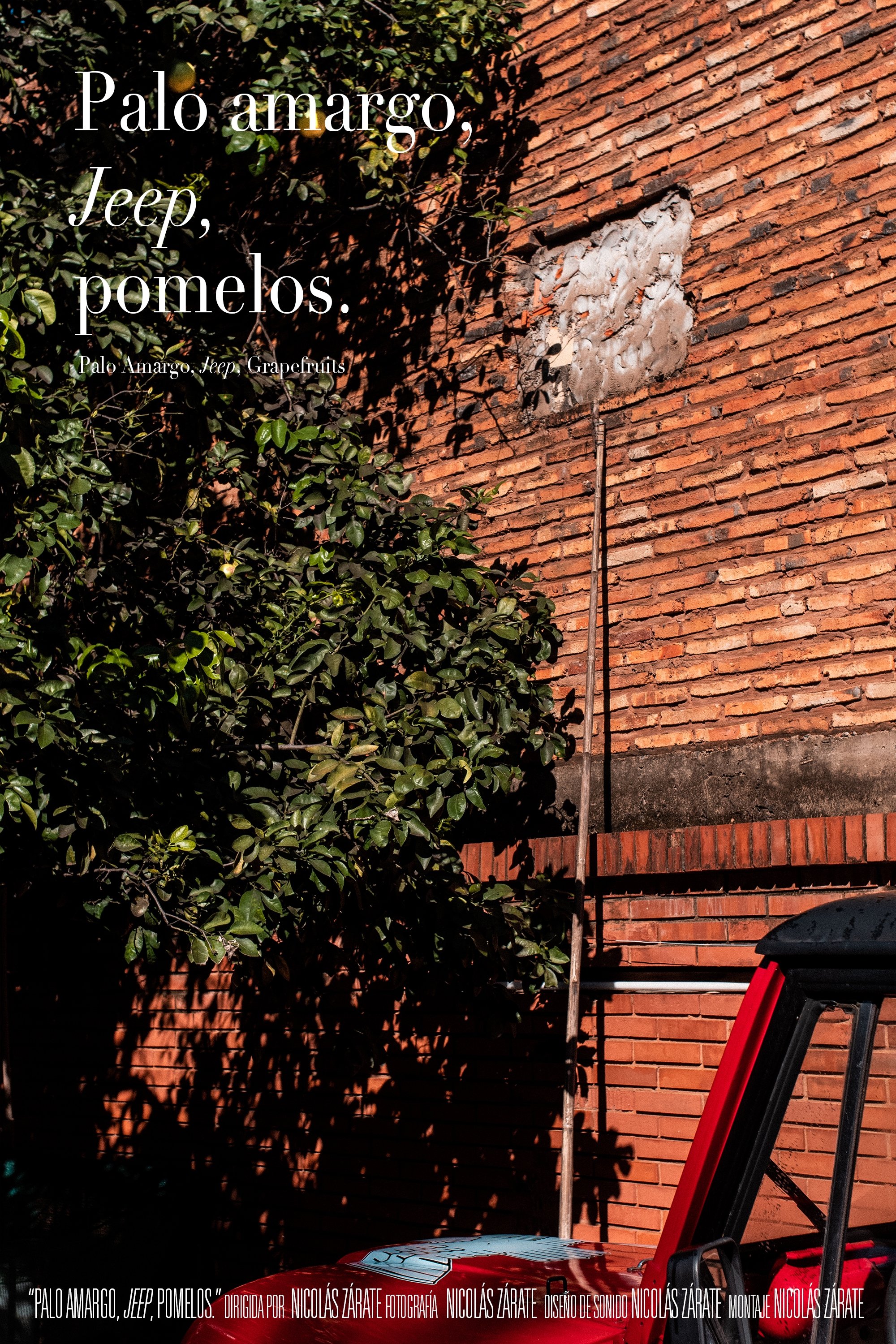 Palo Amargo, Jeep, Grapefruits poster