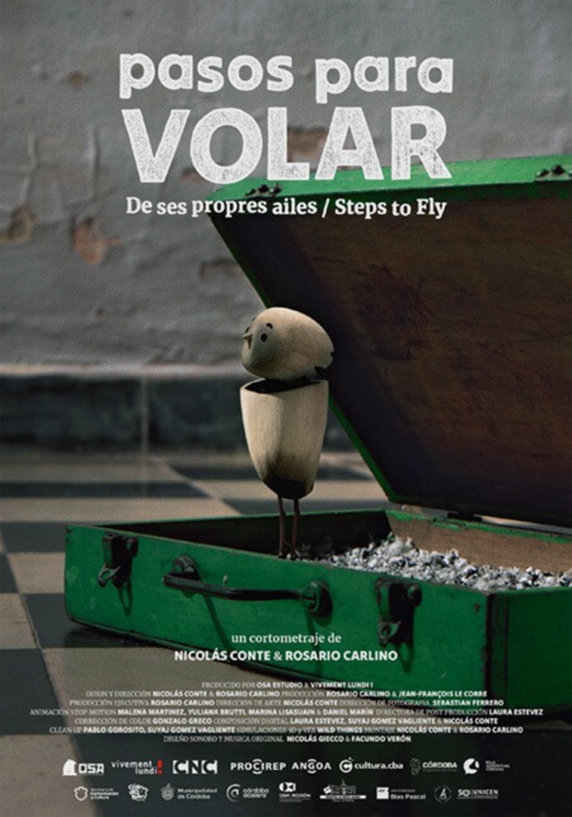 Steps to Fly poster
