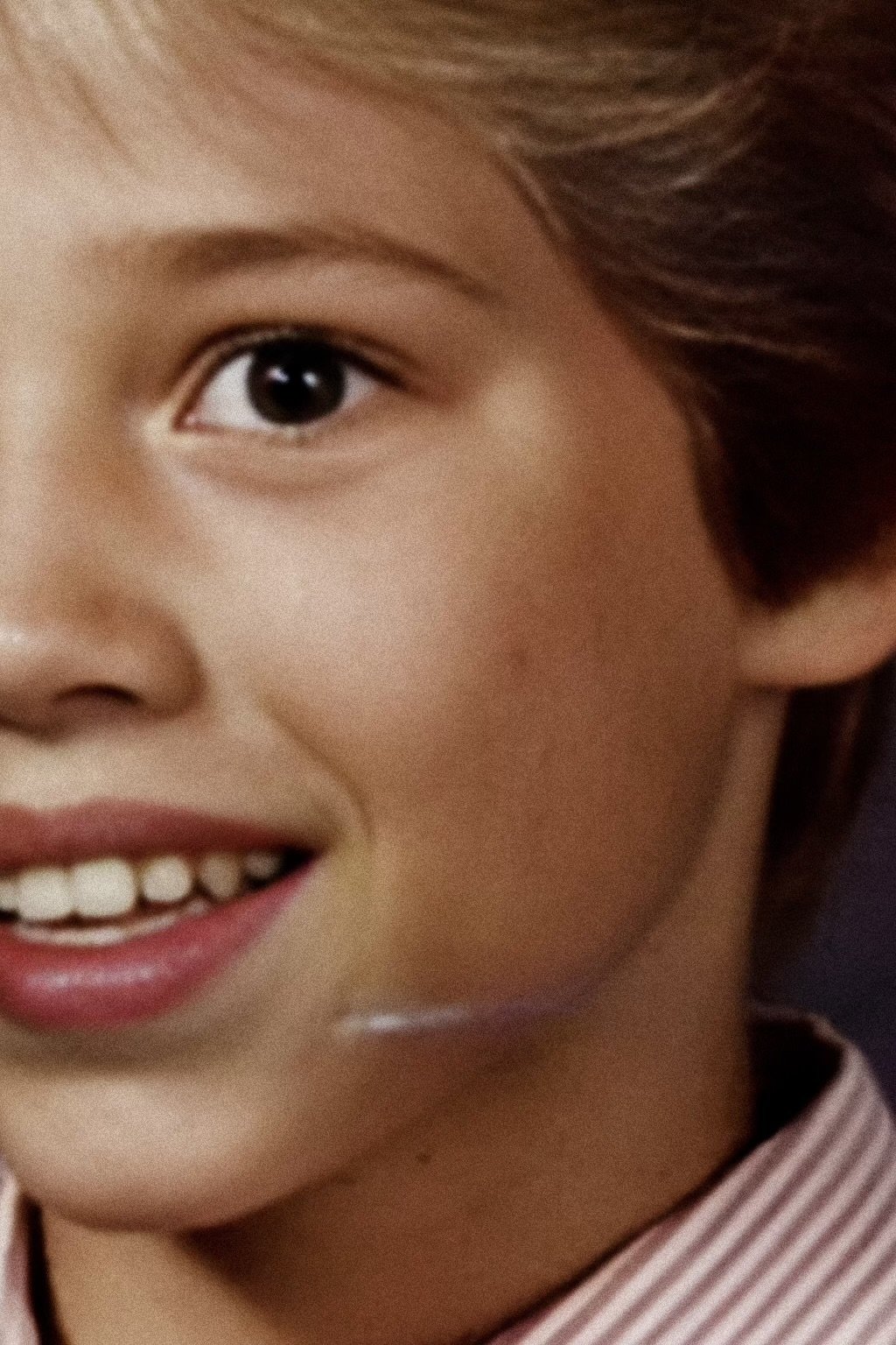 The Boy Was Found Unharmed poster