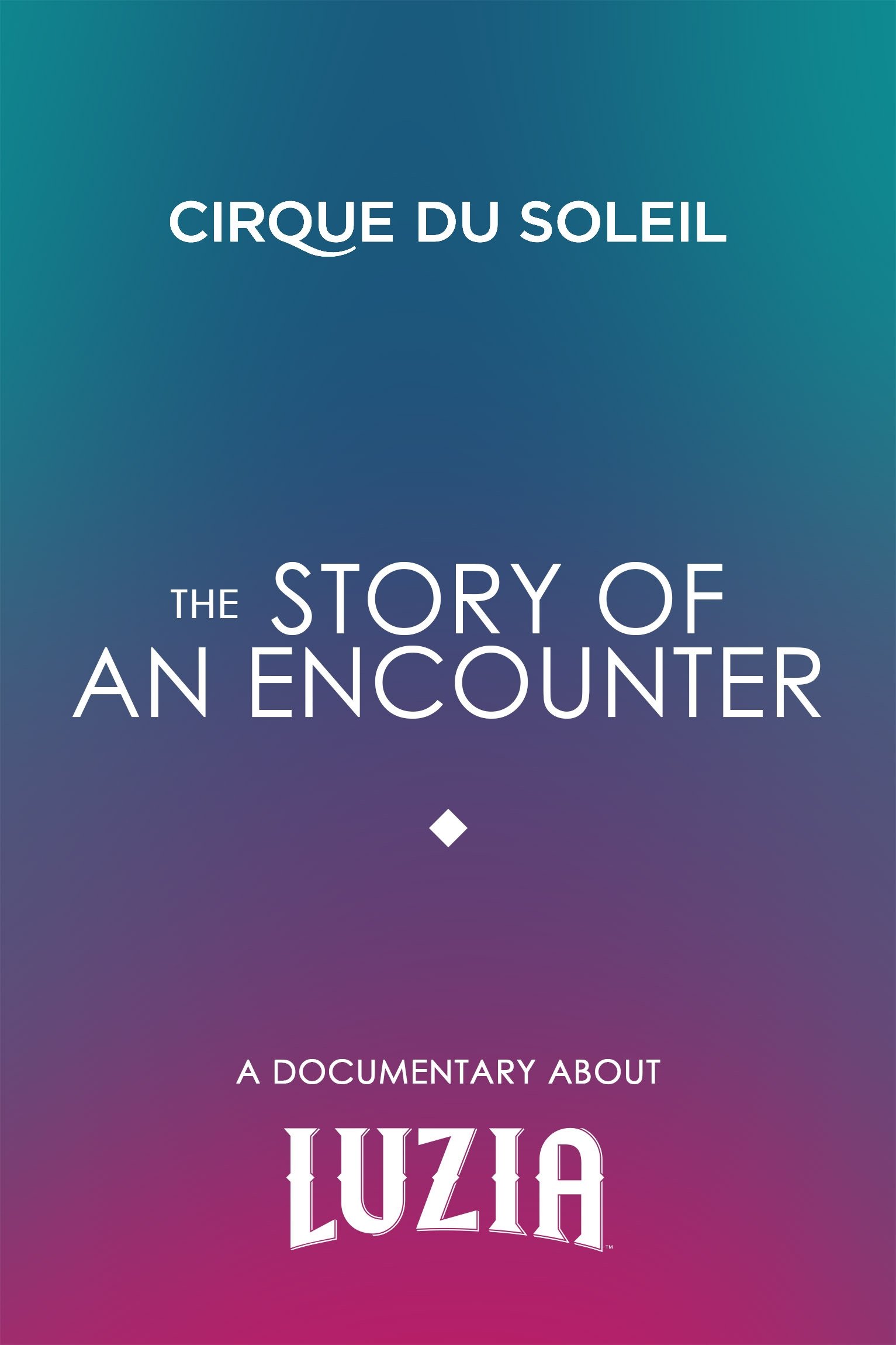 The Story Of An Encounter poster