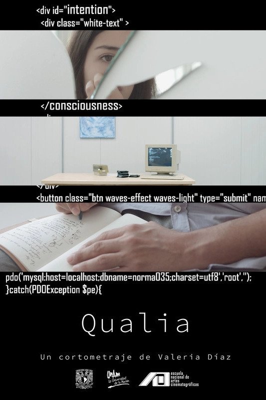Qualia poster