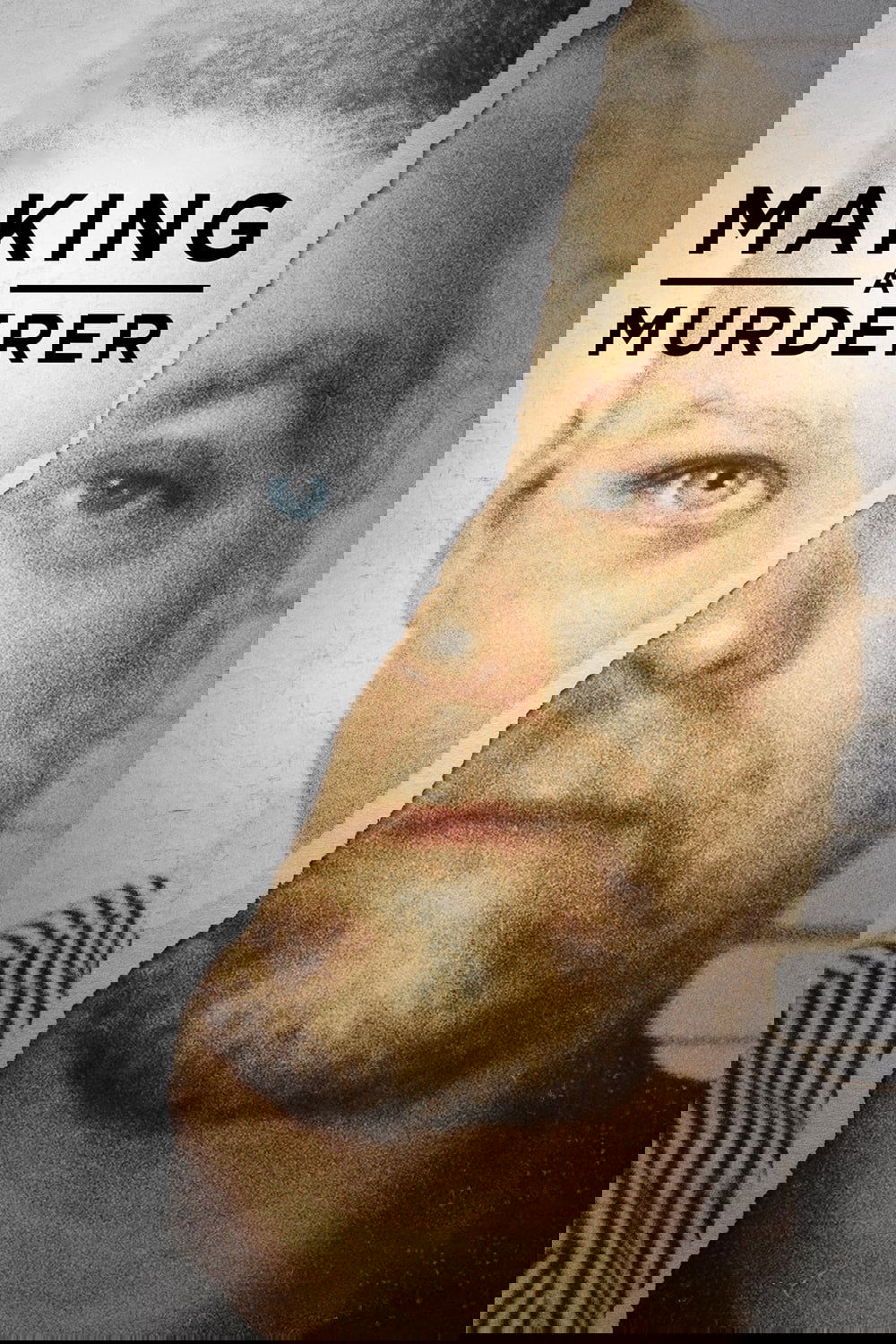 Making a Murderer poster