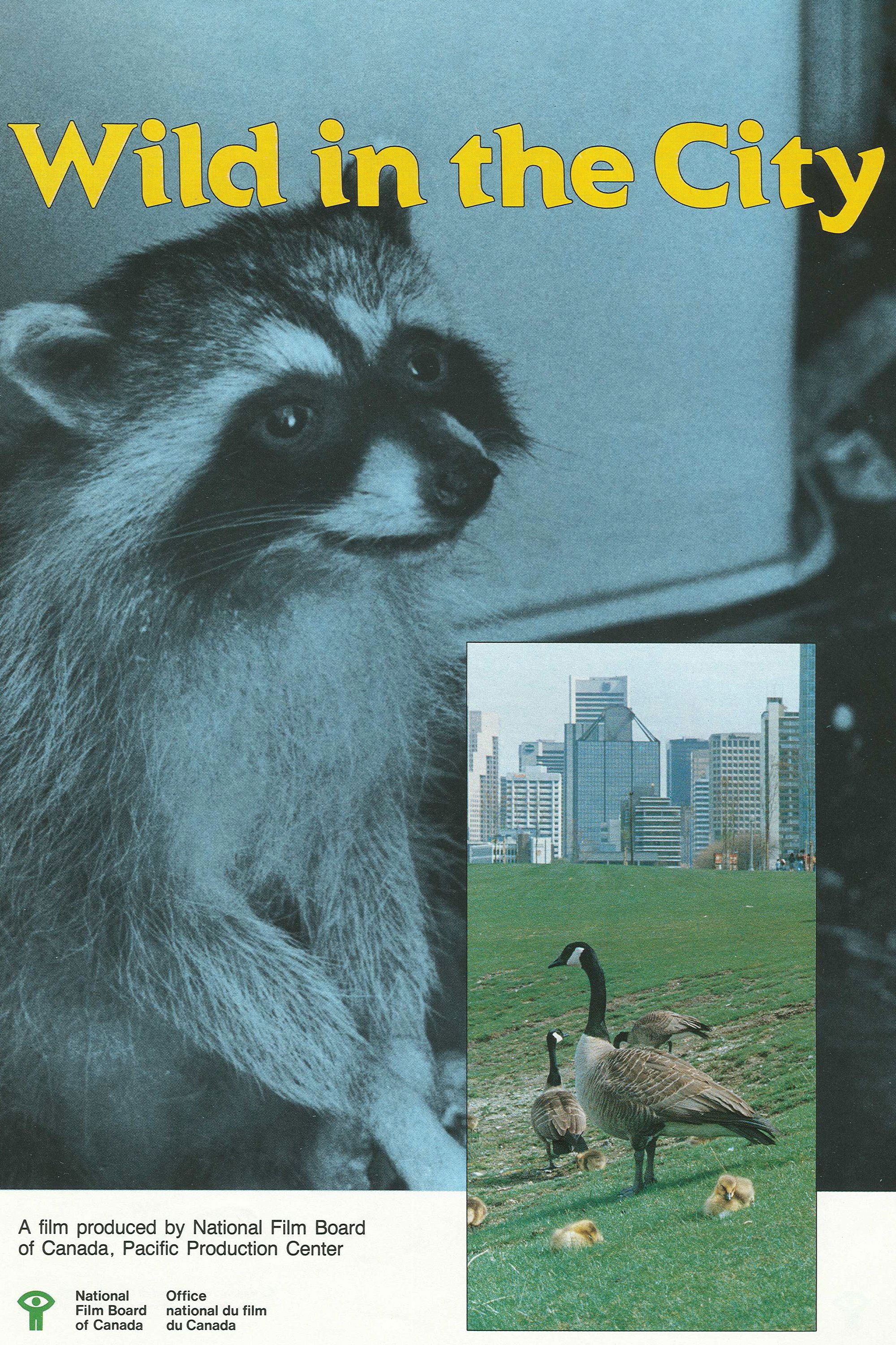 Wild in the City poster