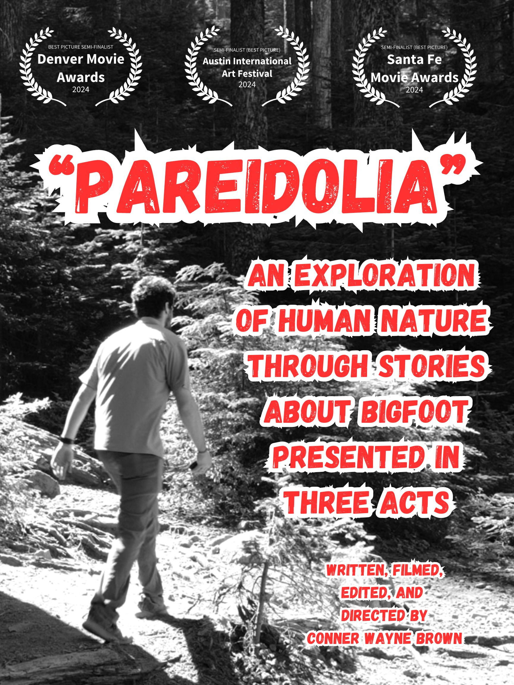 Pareidolia: An Exploration of Human Nature Through Stories About Bigfoot, Presented in Three Acts poster