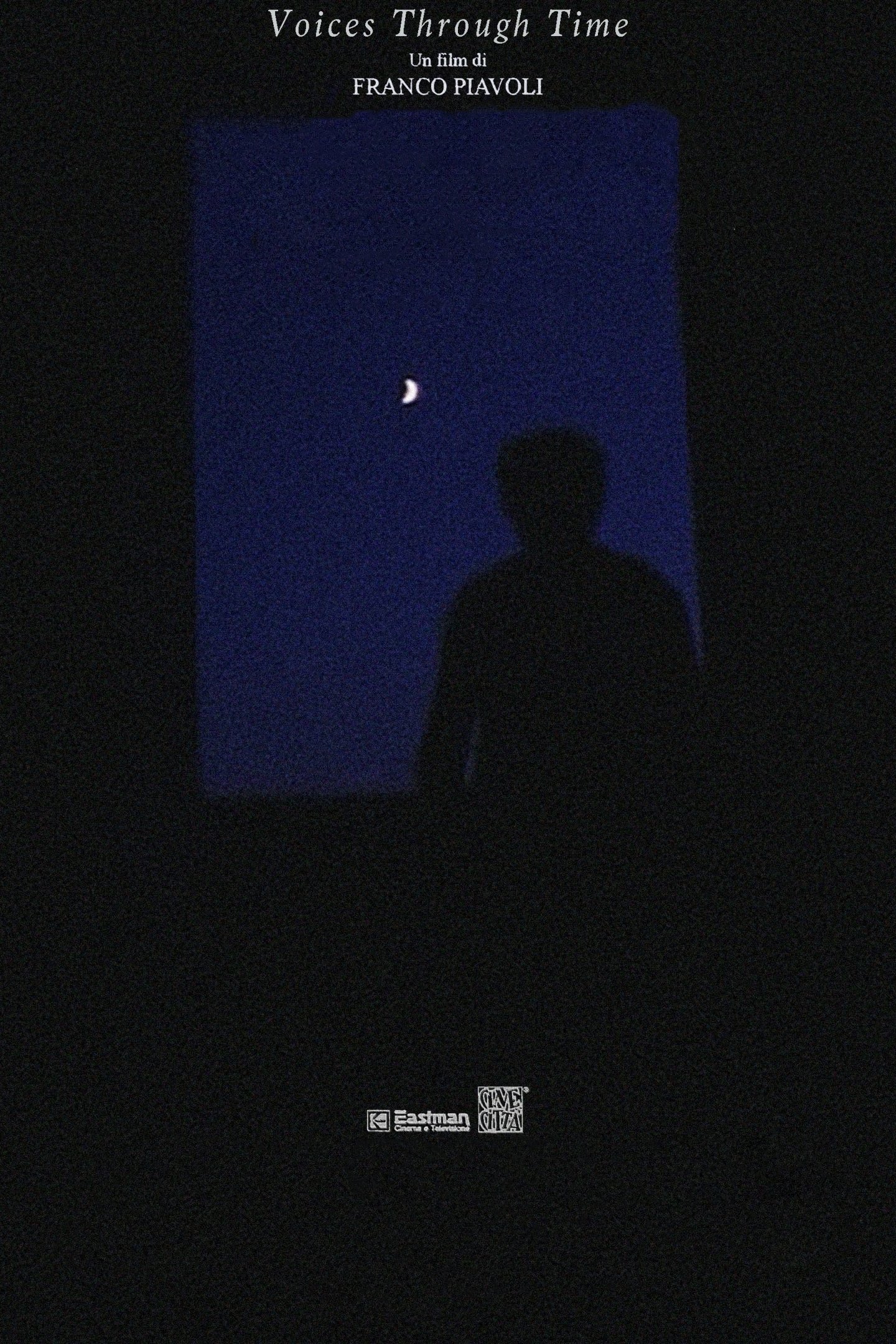 Voices Through Time poster
