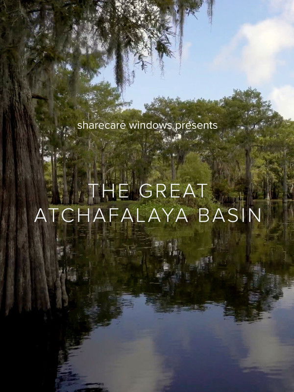 The Great Atchafalaya Basin poster
