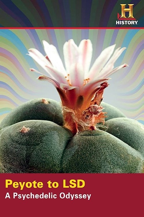 Peyote to LSD: A Psychedelic Odyssey poster